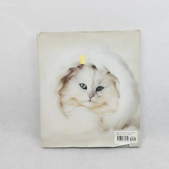 THE CAT'S PAJAMAS Cutest Cats Kitten Book - Picture 6 of 7